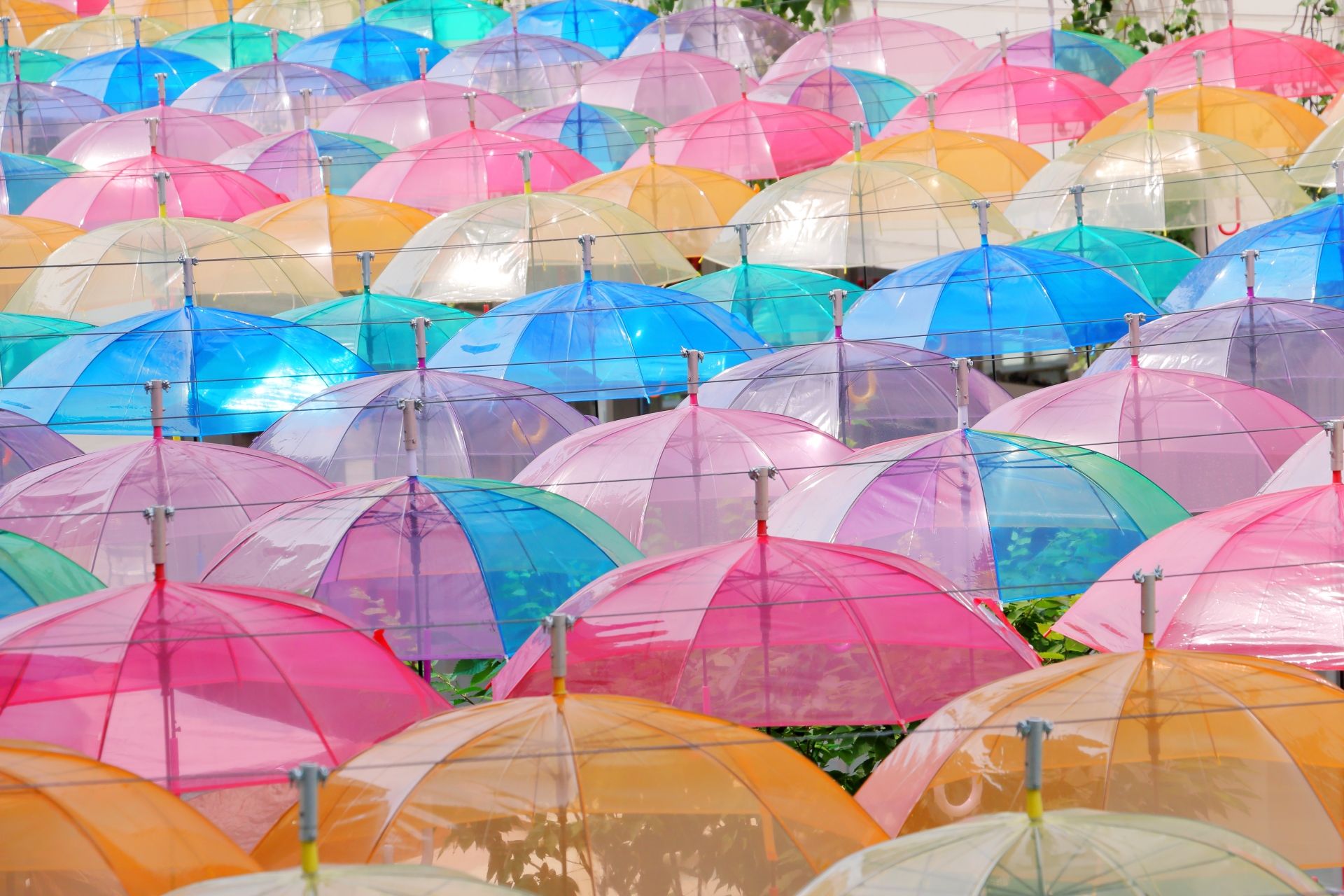 雨の日の傘の有難さはわかるけど　屋根のご恩は大きすぎてわからない